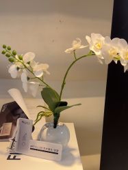 -洁铭新加坡医美