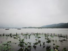 -湖畔居茶楼(湖滨店)