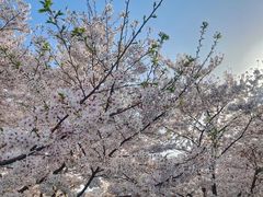 -龙美术馆(西岸馆)
