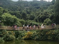 -青青世界