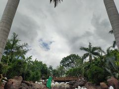 -100蛋泥浆浴