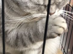 -艺味深尝(云锦路店)