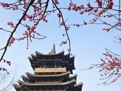 -杭州半山国家森林公园