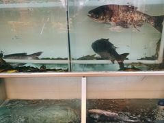 -佬缸炮江湖川菜(玉林店)