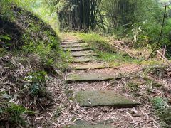 -南山植物园