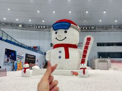 -哈尔滨热雪奇迹