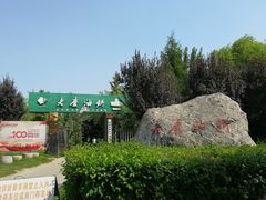 -老磨油饼(高陵店)
