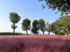 -汉长安城未央宫国家考古遗址公园