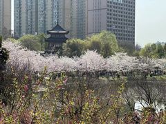 -堤角公园