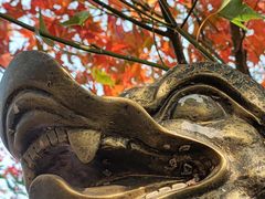 -田野绿世界