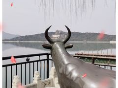 -颐和园