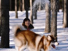 -塞罕坝国家级自然保护区