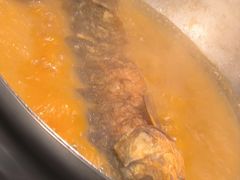 -阿五黄河大鲤鱼(英协路店)