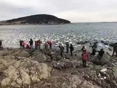 -烟墩角天鹅湖