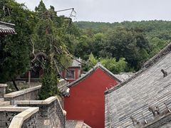 -泰山风景名胜区-普照寺