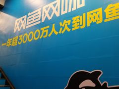 -网鱼电竞(杨浦中原店)