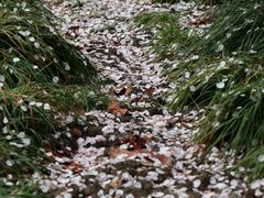 -南浦大桥长途旅游客运站