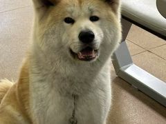 -YCHL Studios健身工作室(市二宫店)