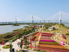 -芒洲湿地公园