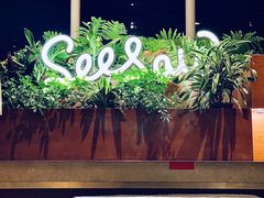 -Seesaw Coffee(朝阳大悦城店)