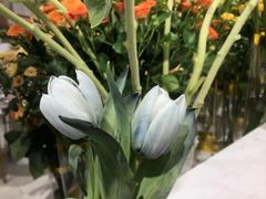 -EPOQUE·一刻花店(兴业太古汇店)