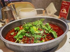 -黔渔翁豆花渎鱼(喷水池店)