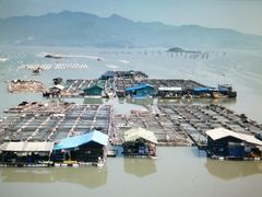 -小皓村
