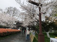 -堤角公园