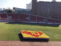 -中央民族大学