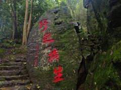 -南漈山