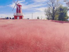 -羊亭河湿地公园