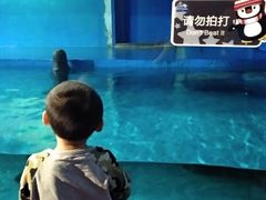 -重庆欢乐海底世界