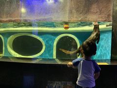 -成都浩海立方海洋公园