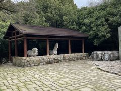 -白马涧龙池景区
