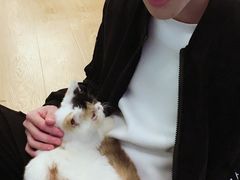 -萌喵宠狗爱心宠咖