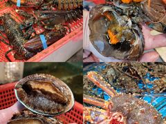 -船奇蒸汽海鲜·闽菜(八市海鲜总店)