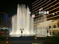 -永利澳门酒店