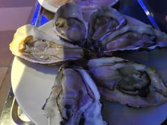 -千岛蚝高压锅生蚝·人参火锅(白云万达店)