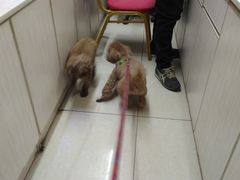 -官厅老勾渔馆(温泉店)