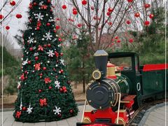 -南宫五洲植物乐园