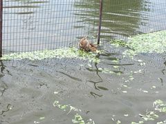 -嬉乐湾休闲旅游区