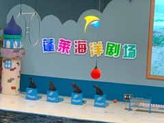 -蓬莱欧乐堡海洋极地世界