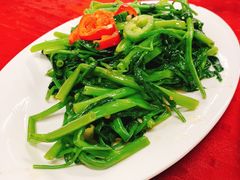 通菜-蛇口康乐快餐鱼仔档(翠苑小区店)