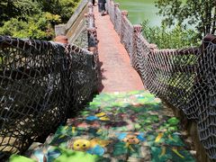 -广州白江湖森林公园