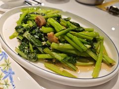 油渣炒菜心-美极鲜食坊(宝安南路店)
