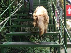 -藏龙百瀑风景区