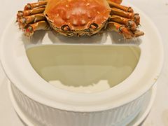 -西湖春天•老字号杭州菜(百汇店)