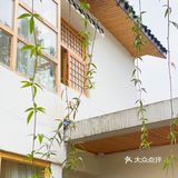 下午茶➕烤肉晚餐🥣｜阿屋