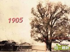 -清华大学玉泉医院