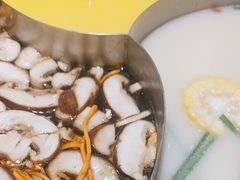 -青瓷火锅料理(西单大悦城店)